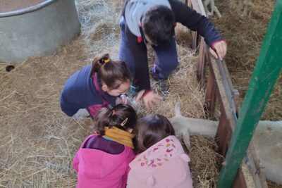 Agrandir l'image 1 sur 13, fenêtre modale